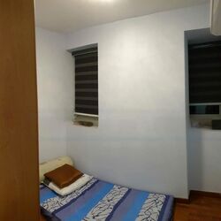 Evergreen Park (D19), Apartment #486758791